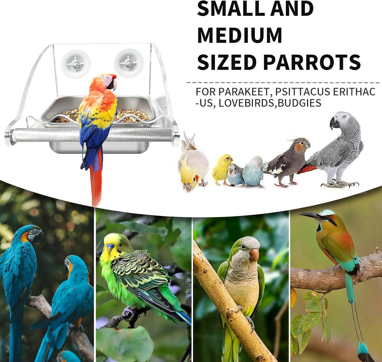 Bird Feeder for Cage,Transparent Bird Feeders, Bird Feeder with Anti-Slip Stand, Stainless Steel Bird Bowls Parakeet Feeder,For Parakeet, Psittacus Erithacus, Lovebirds,Budgies
