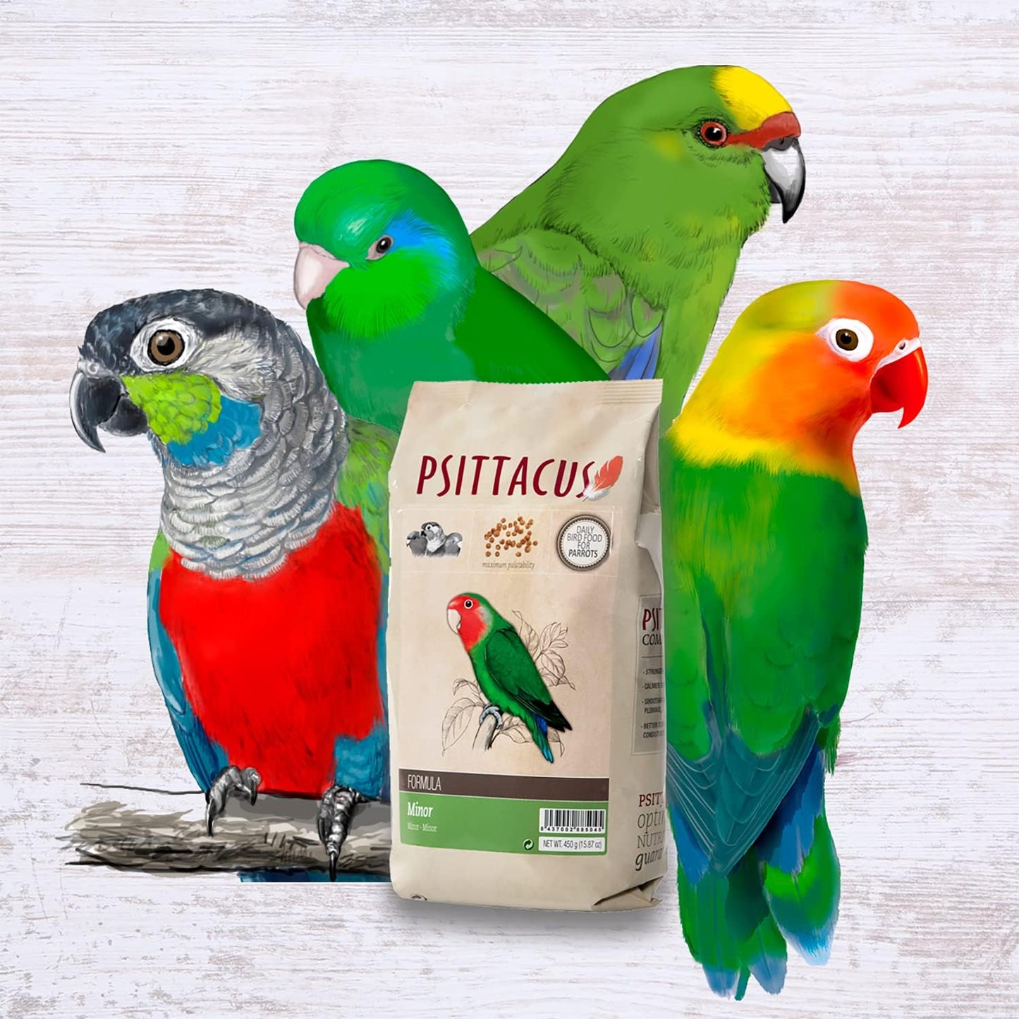 Minor Bag/450G Food